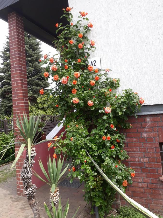 Das Besondere Quartier In Berlin Pankow エクステリア 写真